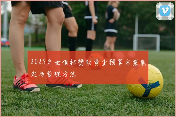 2025年世俱杯赞助资金预算方案制定与管理方法